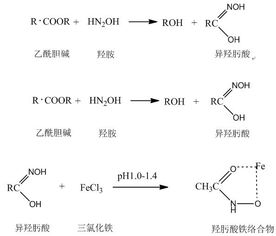 啥是乙酰胆碱酯酶？