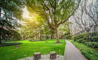 国家机构改革大揭秘