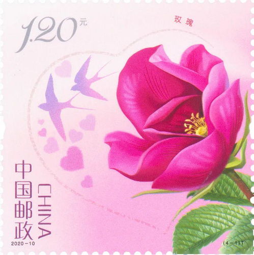 食用玫瑰，不只是观赏那么简单