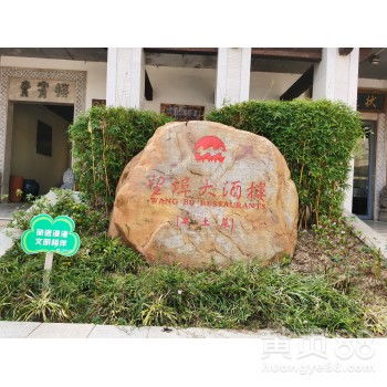 景观石松树的多样性与观赏价值