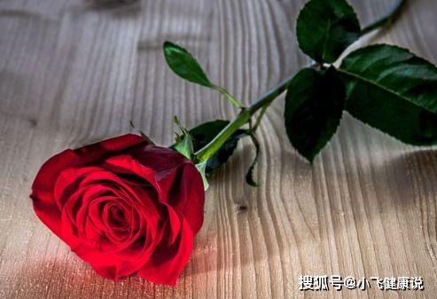 玫瑰花中间发黄，是营养不足吗
