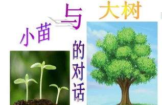 先说说时间， 这是个学问