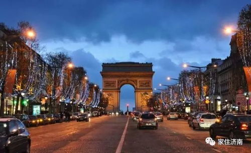 月季品种大盘点