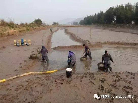 农业养殖，细节决定成败