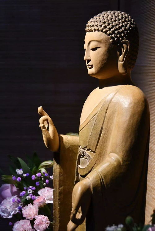 价格高的吓人的法师品种