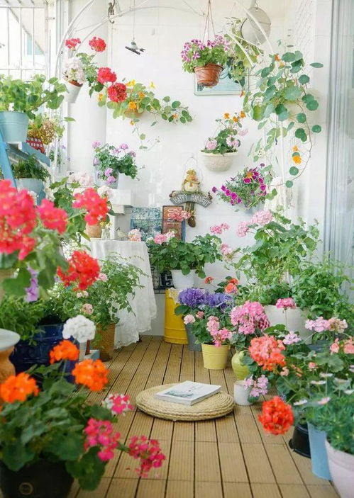 一、 花境植物的选择要点