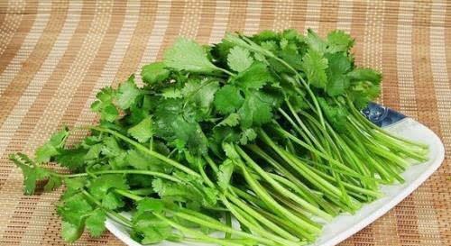 男人长期吃香菜，健康吗