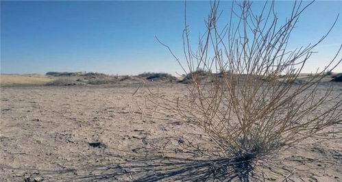 动手收割，注意细节