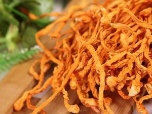 虫草花能活血吗？听听中医怎么说