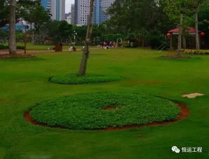 园林设计的前景和就业方向