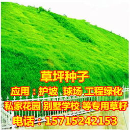 播种时间要把握好