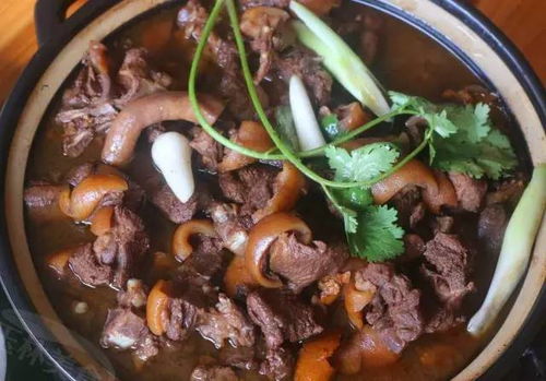 挑选狗肉，需关注肉质、新鲜度及来源