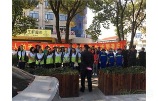 金山区绿化市容工作新篇章