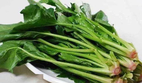 菠菜：冬天的绿宝石