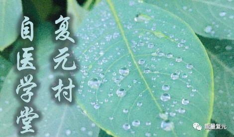 那么吡虫啉Ke以灌根吗？