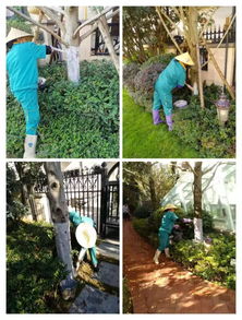 夜间照明， 美化环境