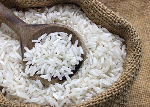 饲料大米抛光粉为什么总是生虫，有哪些有效的防虫方案？