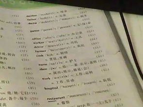 四、 古籍修复师的“无网查字法”