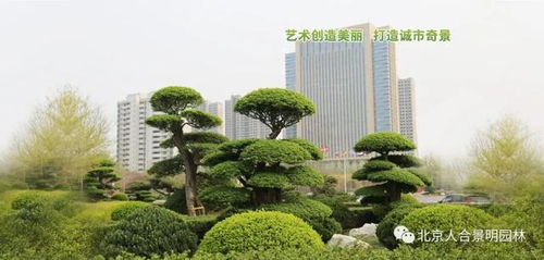 园林工程， 那些让人头大的细节