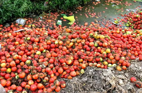 用药如山倒， 病魔如海深