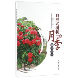 树状月季种植入门：选对地方是关键