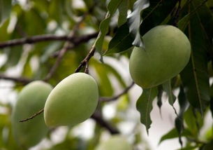 温度这个小捣蛋, 有时候也爱捣乱