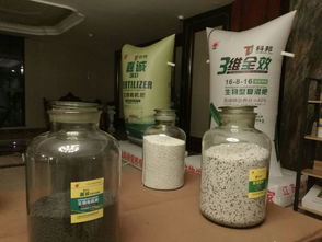 红松林中的生态多样性