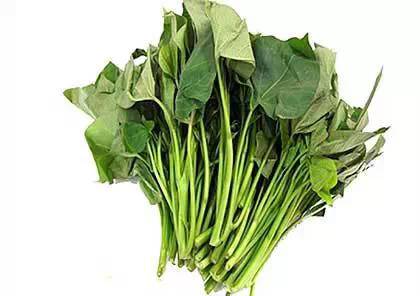 五眼果种植成本高？三招助你降低50%，如何避免种植陷阱？