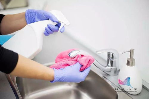 猪外伤需及时处理？如何正确消毒和包扎