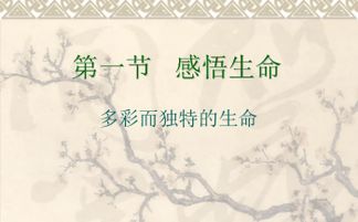 “花语：失去，静默哀愁，生命感悟，花语新解”