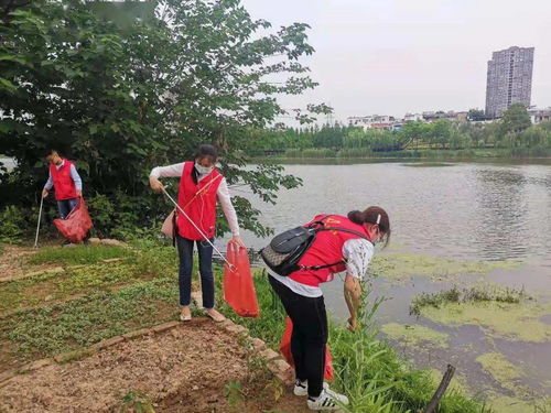 红色康乃馨浓情款款，它传承的象征意义究竟蕴含着怎样的深情故事呢