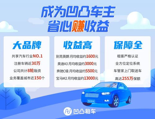 山茶油代理招募！独家政策揭秘，助您轻松盈利！