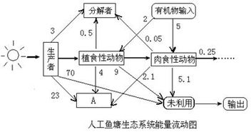 草本群落样方调查， 新手必kan的密度计算方法与避坑指南