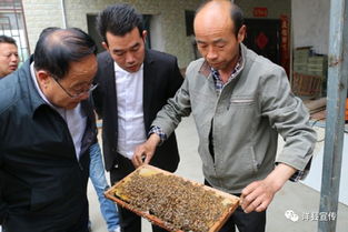 水蛭满月苗培训班揭秘水蛭人工养殖高产技术