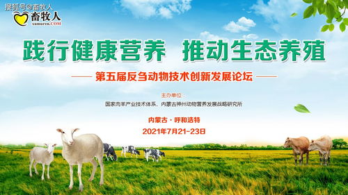 反刍动物发酵饲料真的省钱吗？牧场主实测后有哪些省钱陷阱需要注意？