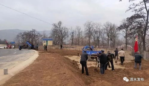 大兴苗木造林工程在桐柏县朱庄镇实施情况揭秘