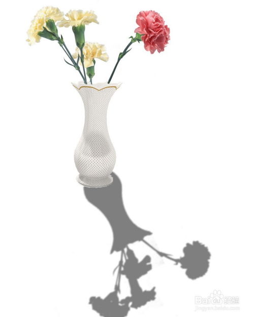 玫瑰花简单插花：选花瓶