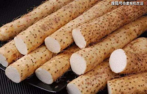 山药在哪个季节收成最佳，秋季成熟的山药口感更佳吗