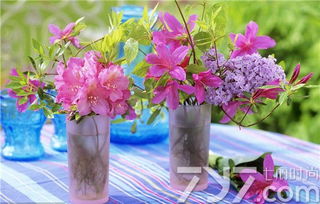 恋人之间的礼物