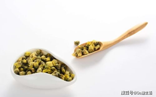 菊花清热解毒，你了解它的其他作用和功效吗