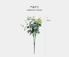 揭秘尤加利花的神秘象征：探索其独特含义与意义