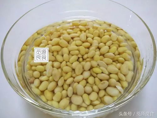 如何通过膨化大豆获得健康美味，提升生活品质