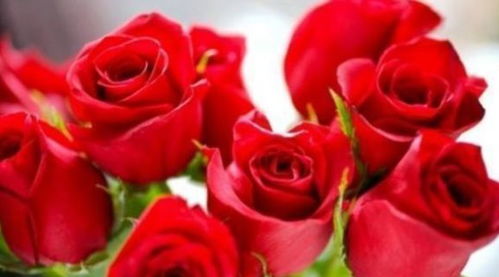 种子发芽，红色亮相