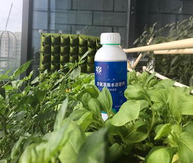 中金农药新突破：新型农药研发成功