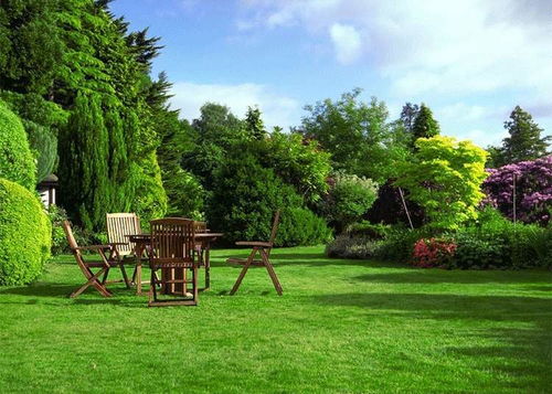 边坡花园，草种怎么选？