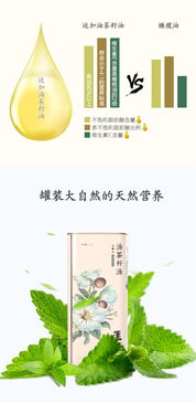 中国茶油十大品牌推荐 - 选购优质茶油指南