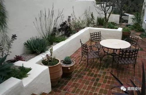 新手种植建议， 先从容易活的品种开始