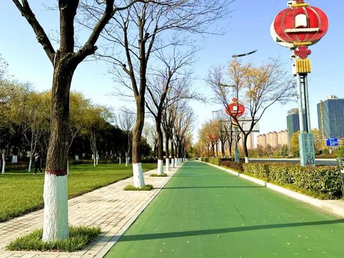 精细化作业， 呵护每一棵树