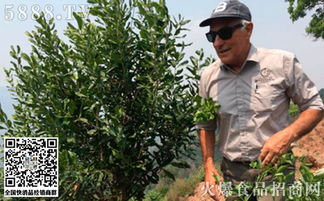 坚果种植的海拔高度是多少？适合哪些坚果品种在特定海拔种植？
