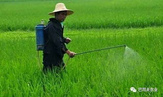 平安间隔期，别忽视了！